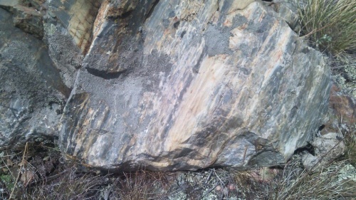 Гигантские зелёные валуны для ландшафтного дизайна весом более 5 тонн купить в Волчанске